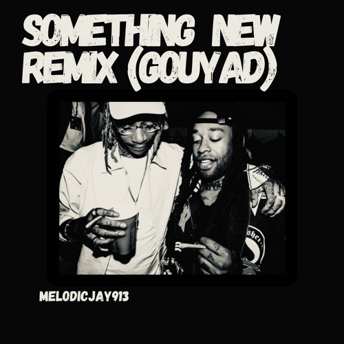 Something New GOUYAD