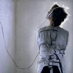 studio @xankoma + @vrtex + @svvn.fx