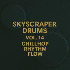Chillhop Rhythm Flow - Track 02