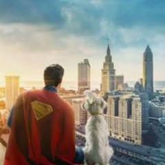 Superman in the Land (DC Universe Mix)