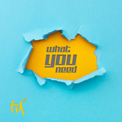 Taboo Mentality - What You Need