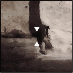pBf-15