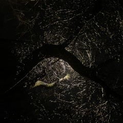 es tevi negaidu atpakaļ