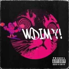 NEO FONSECA (US) - WDIM ?!