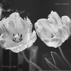 Primum Ver I (Slow Feels) By Leon Lobato