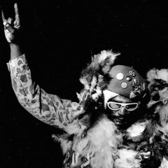 RADIO.D59B / FUNK FOUNDATIONS #4 / P-Funk