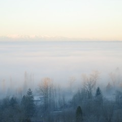 Assignment2-Echoes In Fog-COM381soup