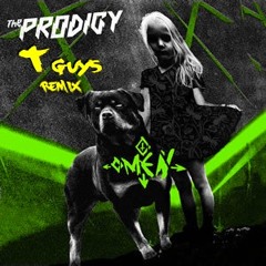 The Prodigy - Omen (T Guys Remix)
