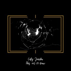 Caly Jandro - Ibis (drS (FI) Remix) [trndmsk]