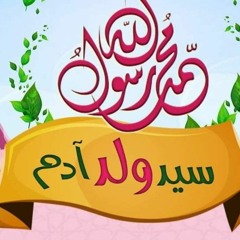 02 قراءة في السيرة النبوية الرحيق المختوم .mp3