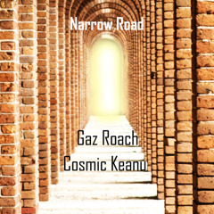 Narrow Road (Gaz Roach & Cosmic Keanu)