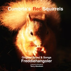 Where The Red Squirrels Roam