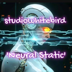 Neural Static
