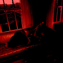 Agony (Yung Lean Remix)