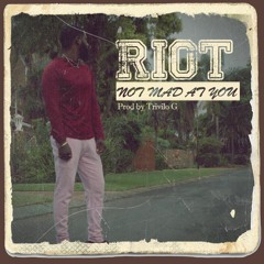 RiotHond - I'm Not Mad At You