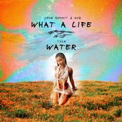 Water - Tyla X What a Life - John Summit (CTRL J Edit)