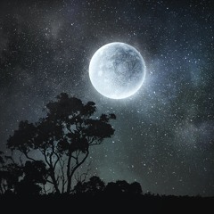Missing moonlight (voice memo)