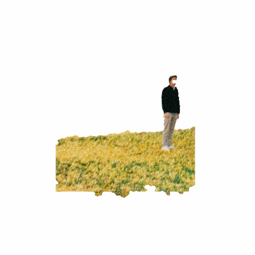 T. Harding - Where We Fall (feat. Benjamin O'Connor)