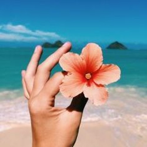 Chilled Funky Soul Disco