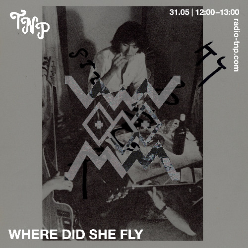 where did she fly