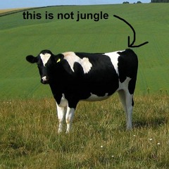 this is not jungle