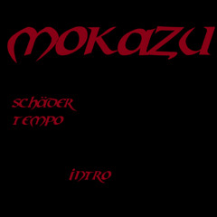 01 SCHRÄDER TEMPO INTRO