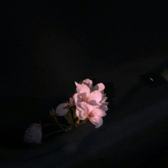 난춘 cover