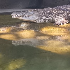 フラワリングに遊ばナイト