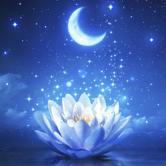 Moonflower