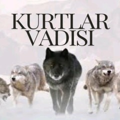 Kurtlar vadisi Pusu 2003 (Version Remix)