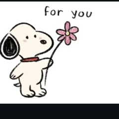 last thing I say w/ durahan