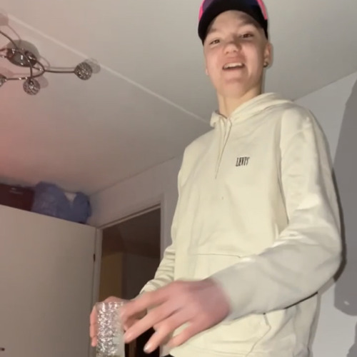 pingvinerna från gve