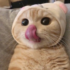 메롱메롱메롱