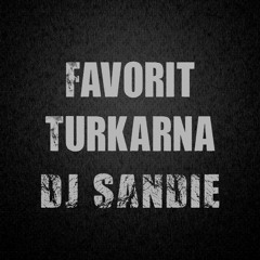 Favorit Turkarna (DJ Sandie Remix)