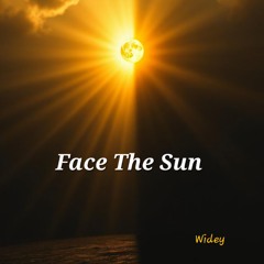 Face the Sun