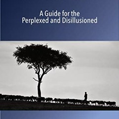 FREE PDF 💔 Rethinking Church: A Guide for the Perplexed and Disillusioned by  Ron Hi