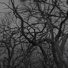 Morbid - Tragic Dream