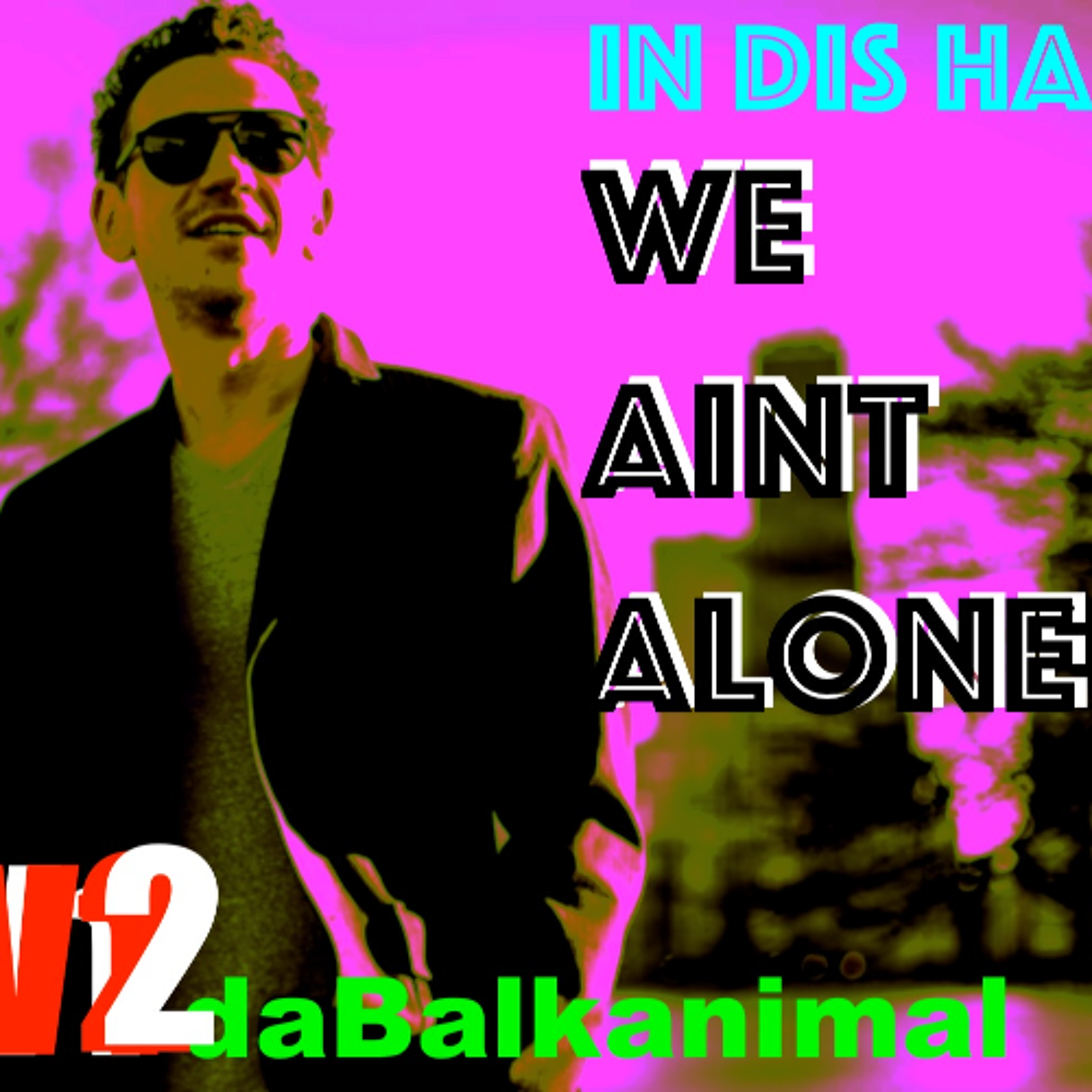 In Dis Haus We Aint Alone - Skender Makota daBalkanimal V2