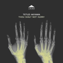 TR180 - Tetuzi Akiyama - 'Thou Shalt Not Hurry' [excerpt]