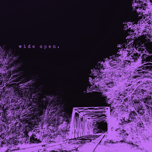 wide open (cxzzi)