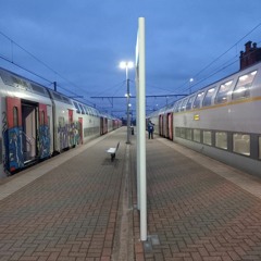 Het Harde Koor