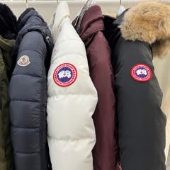 FOCUS3D - GOOSES & MONCLER