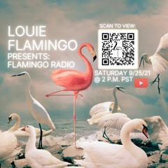 Flamingo Radio 9 - 25 - 21