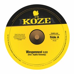 DJ Koze - Wespennest (PAMPA040) Snippet