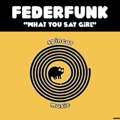 FederFunk - What You Say Girl