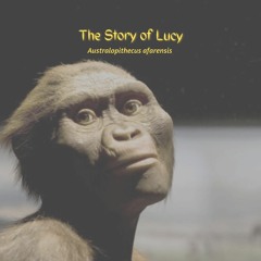 The Story of Lucy