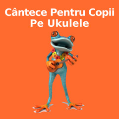 Ratustele mele pe apă s-au dus (versiunea ukulele)
