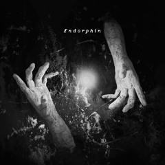 Endorphin (IV)