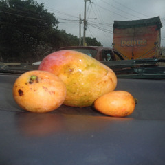 Huar Huarco - Mango Dodge