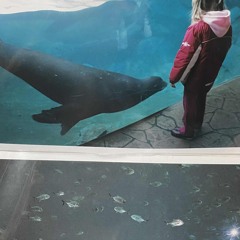 NOT A LOT, JUST FOREVER (COVER)